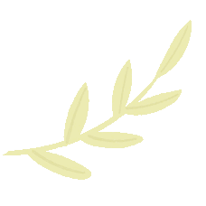 空氣能,太陽能,熱水器