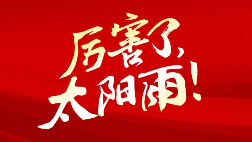 等了6年，它終于從清華大學回到了太陽雨。