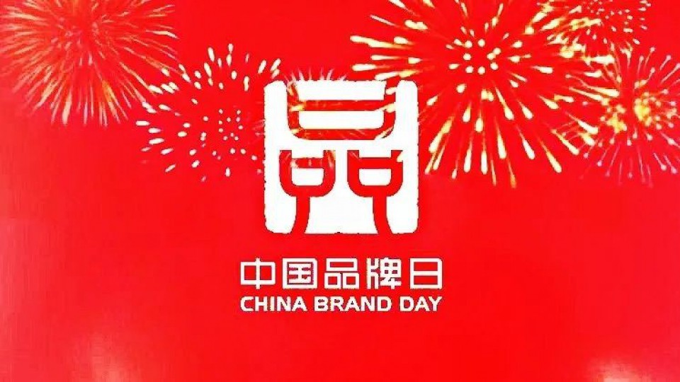 太陽雨集團(tuán)應(yīng)邀參加2020中國品牌云峰會(huì)