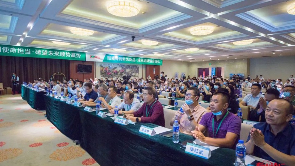 泰山論壇：太陽雨零碳項目獲評“綠能強國 超級工程”